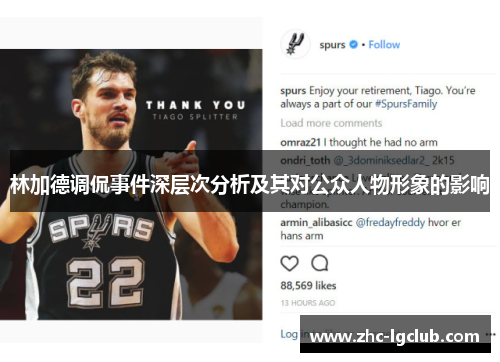 林加德调侃事件深层次分析及其对公众人物形象的影响 林加德调侃事件深层次分析及其对公众人物形象的影响